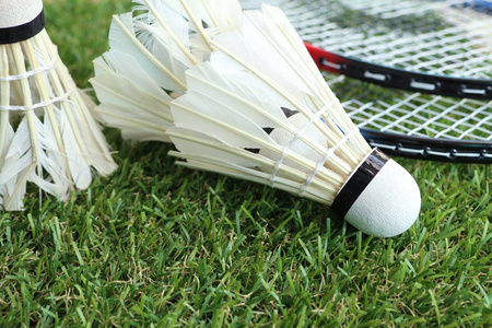 山东泰山的 山东泰山的