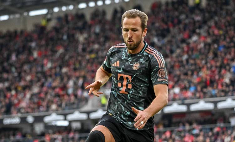 晋级决赛的 晋级决赛的